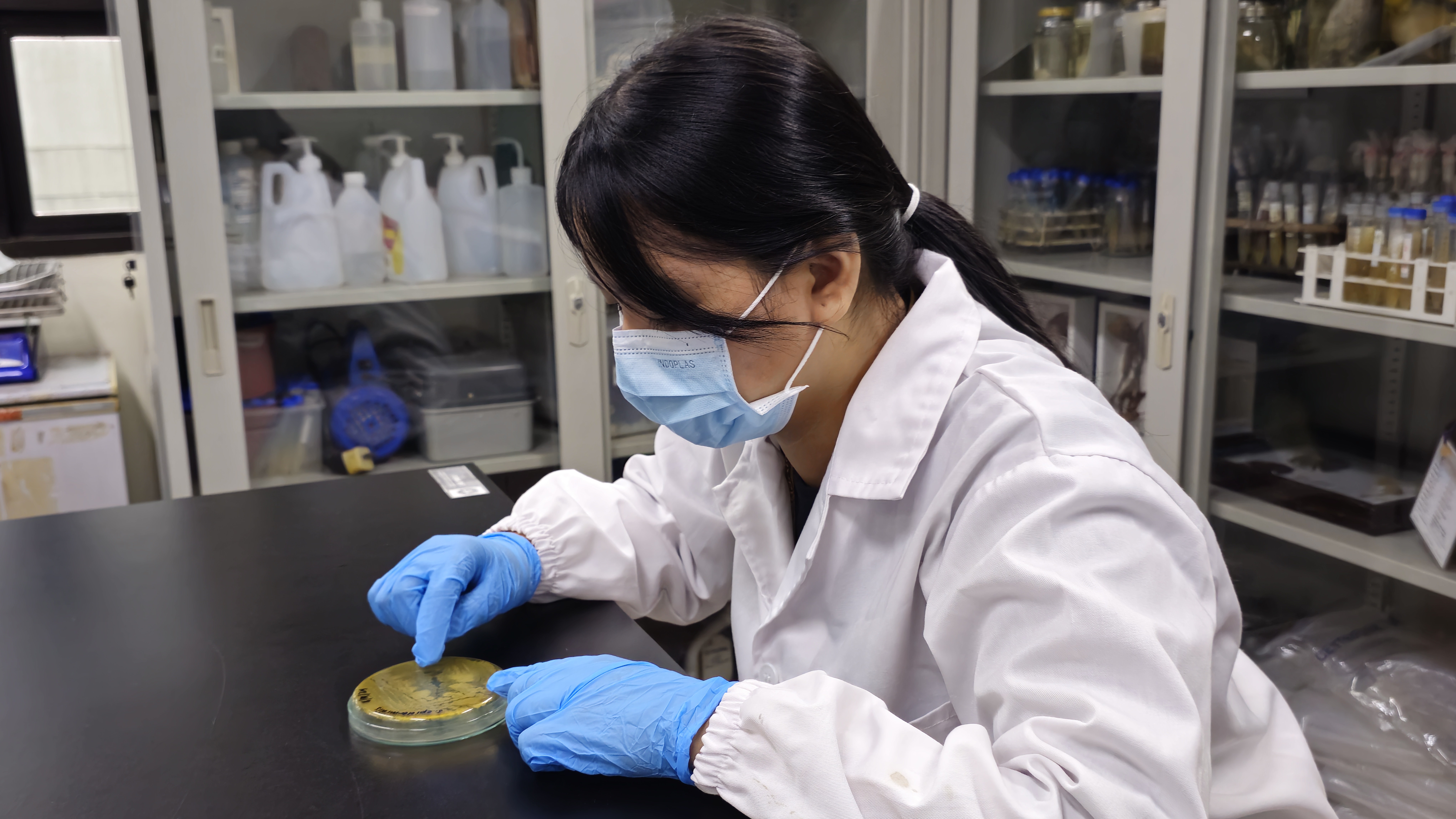 Microbial Testing Methods